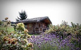 Hôtel Le Manoir des Montagnes